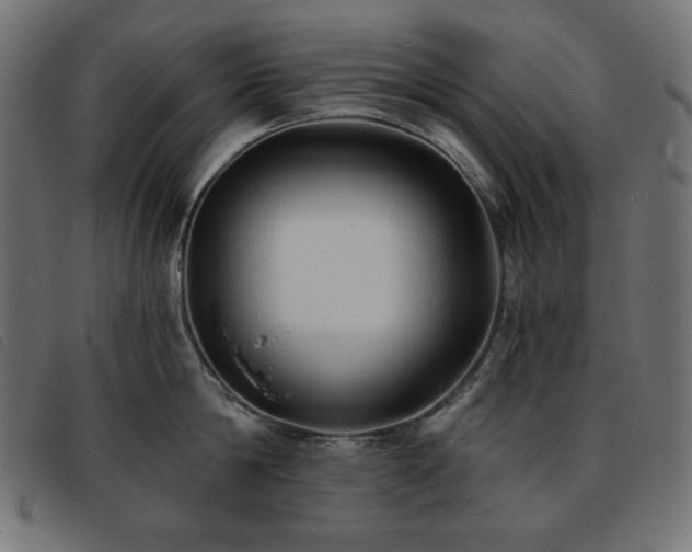 X0000093760814200710161222