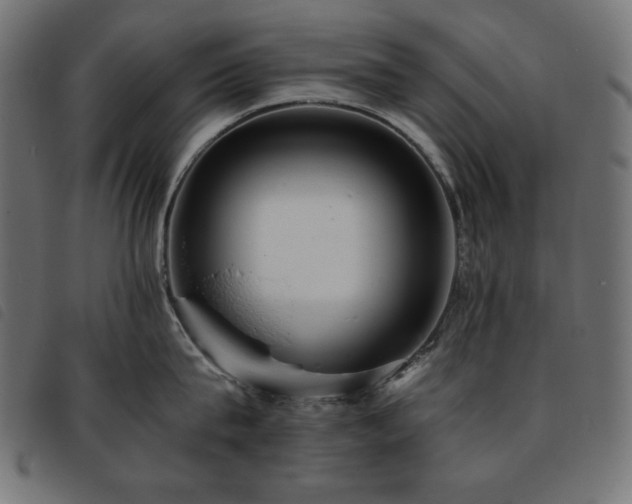X0000093760815200710161222