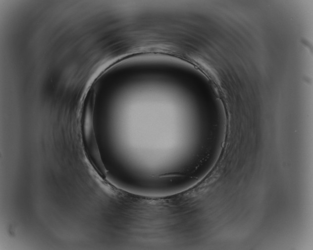 X0000093760816200710161222