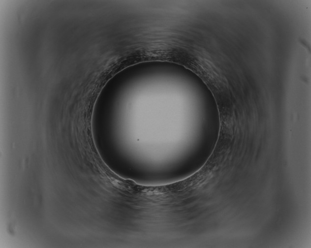 X0000093760817200710161221