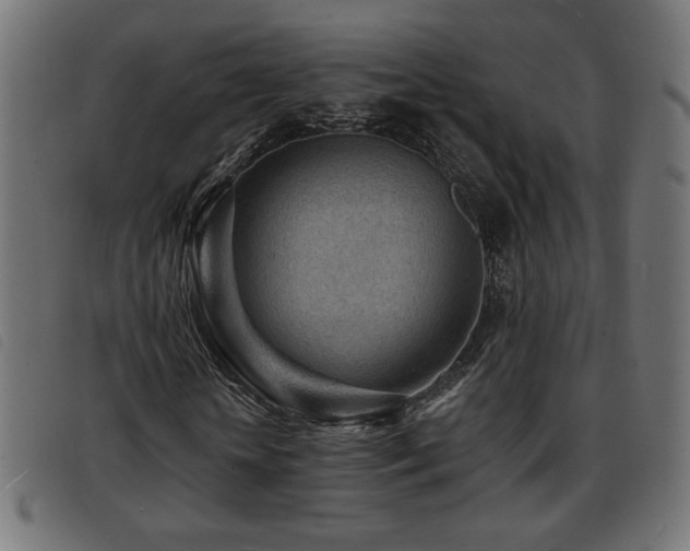 X0000093760818200710161221