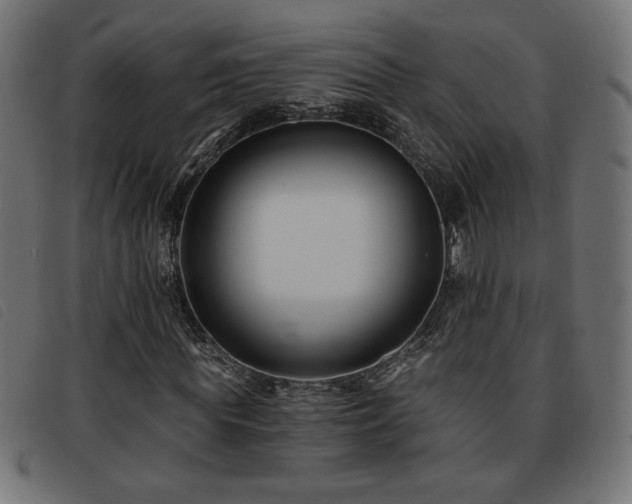 X0000093760819200710161221