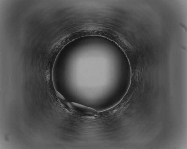 X0000093760821200710161221