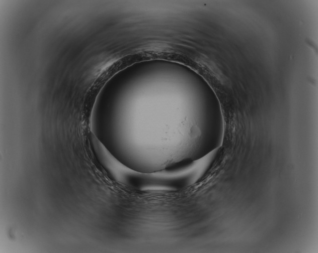 X0000093760822200710161221
