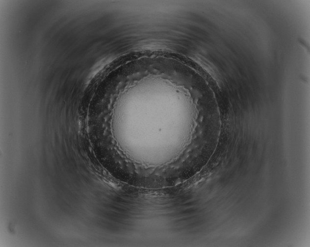 X0000093760823200710161221