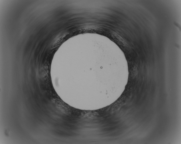 X0000093760824200710161221