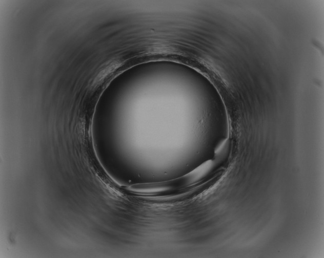 X0000093760825200710161221