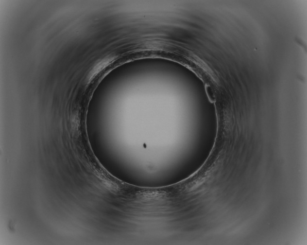 X0000093760826200710161221