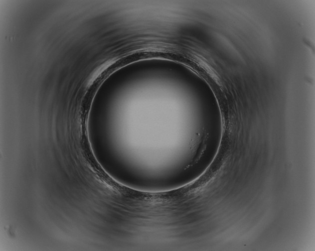 X0000093760829200710161221