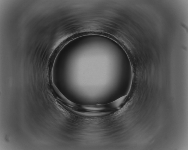 X0000093760830200710161221