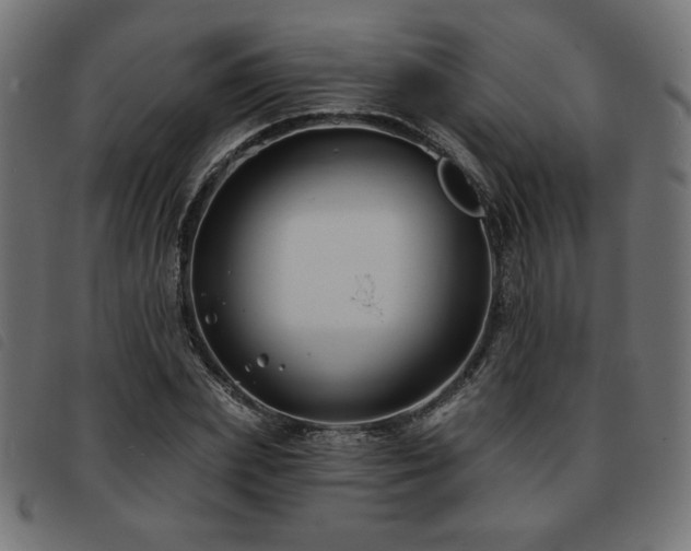 X0000093760831200710161221
