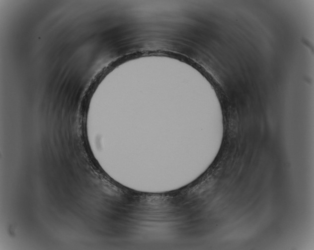 X0000093760832200710161221