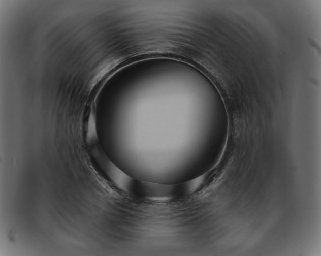 X0000093760834200710161221