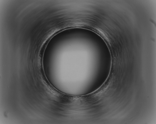 X0000093760835200710161221