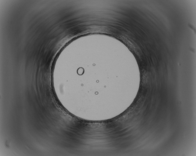 X0000093760836200710161221