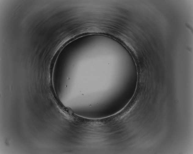 X0000093760837200710161221