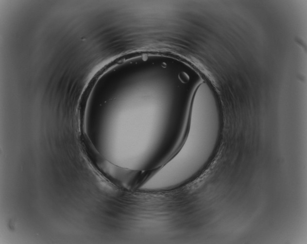 X0000093760838200710161221