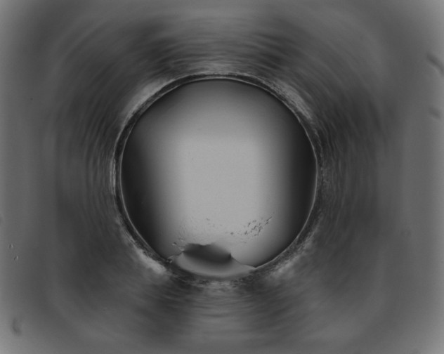X0000093760839200710161221