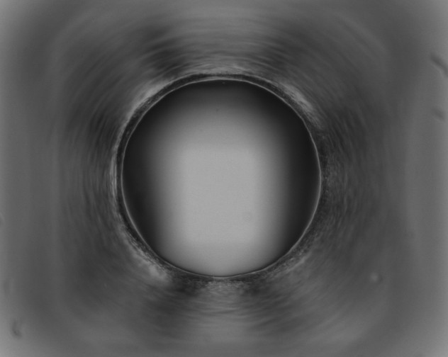 X0000093760840200710161221