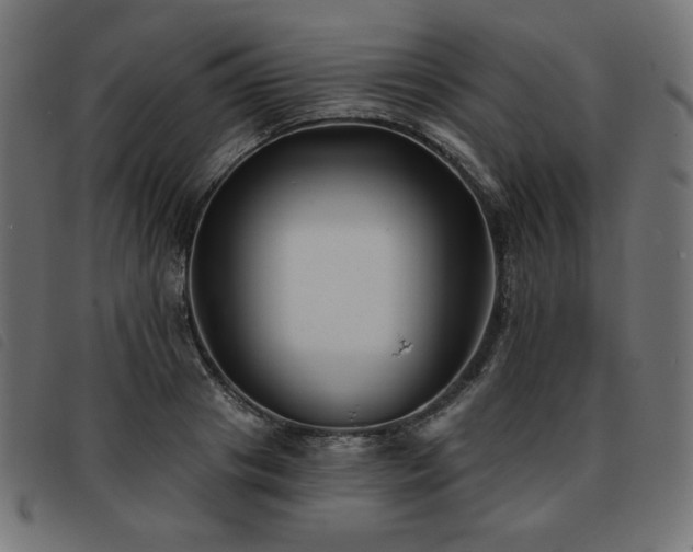 X0000093760841200710161221