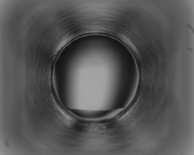 X0000093760842200710161221