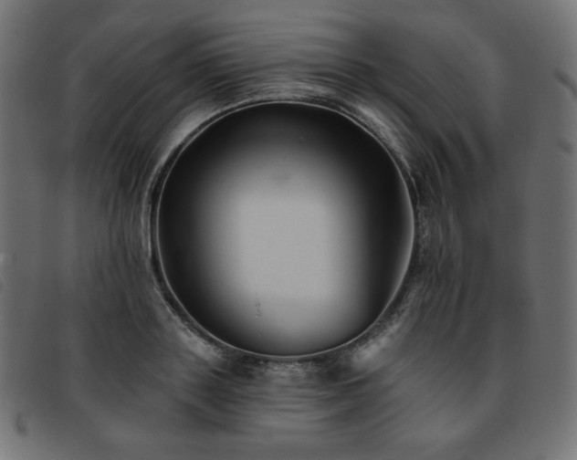 X0000093760843200710161221