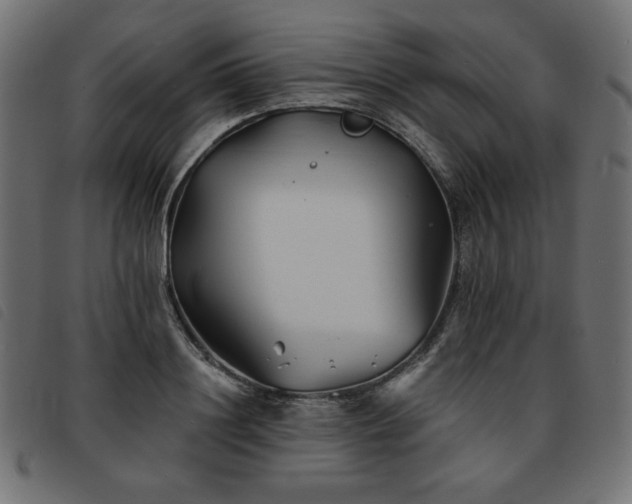 X0000093760844200710161221