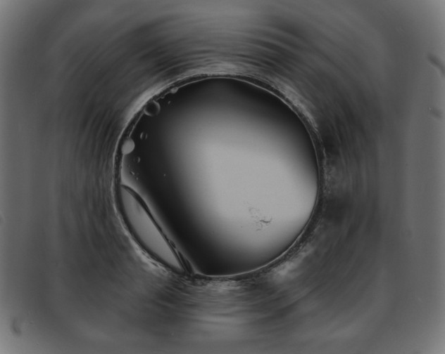 X0000093760845200710161221