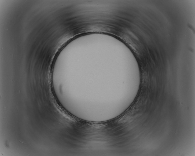 X0000093760848200710161221