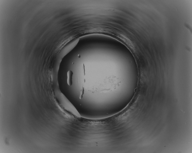 X0000093760849200710161221