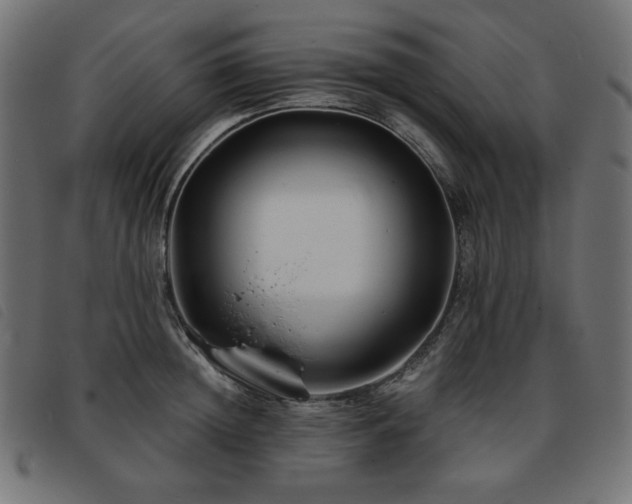 X0000093760852200710161221