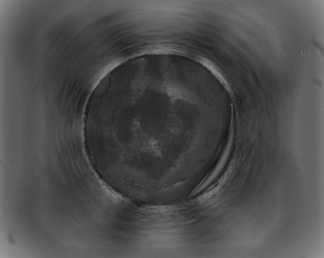 X0000093760853200710161221