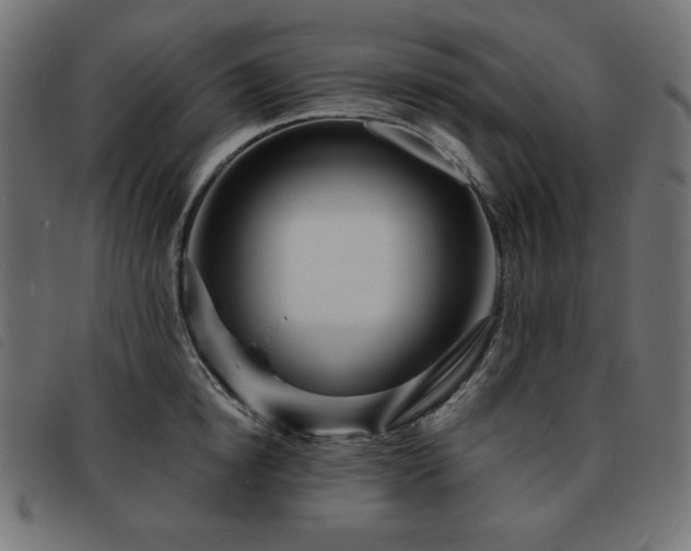 X0000093760854200710161221