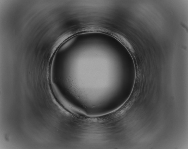 X0000093760855200710161222