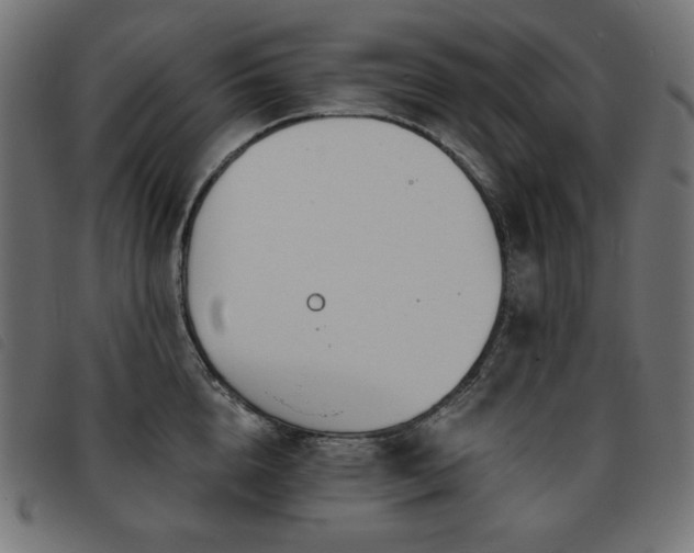 X0000093760856200710161222