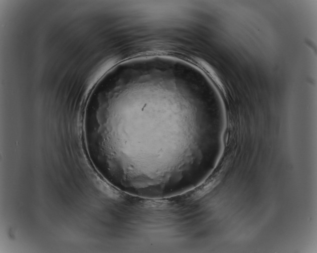 X0000093760859200710161222