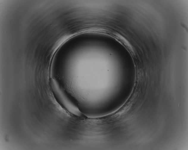 X0000093760860200710161222