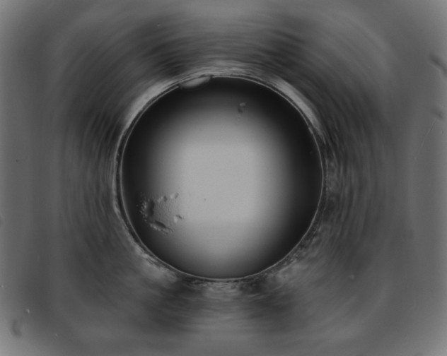 X0000093760861200710161222
