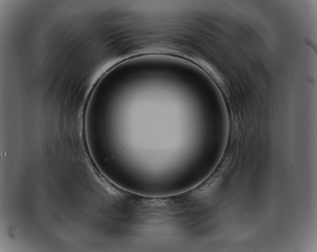 X0000093760862200710161222