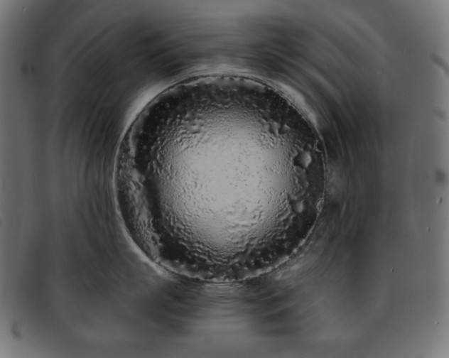 X0000093760863200710161222
