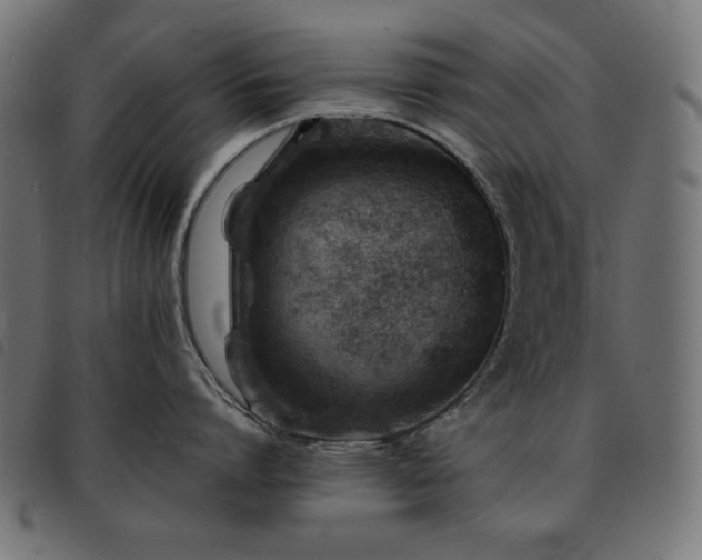 X0000093760864200710161222