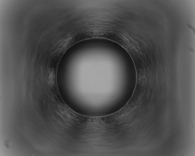 X0000093760866200710161221