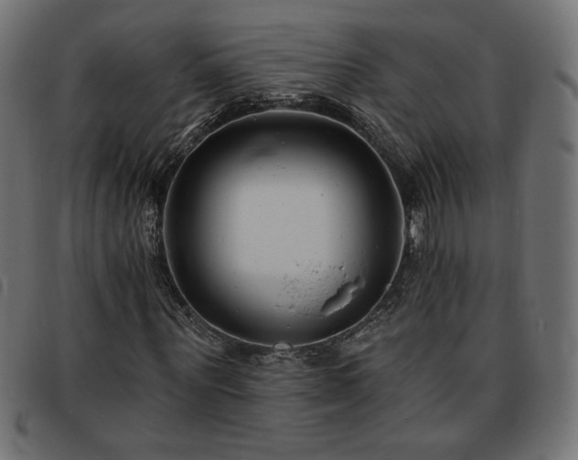 X0000093760867200710161221