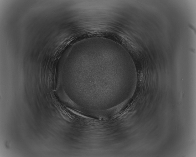 X0000093760868200710161221