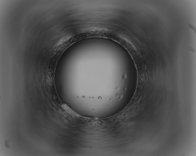X0000093760869200710161221