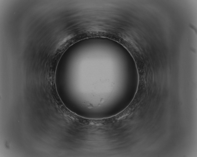 X0000093760870200710161221