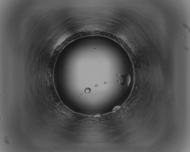 X0000093760871200710161221