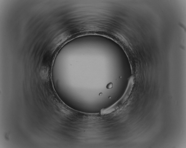 X0000093760873200710161221