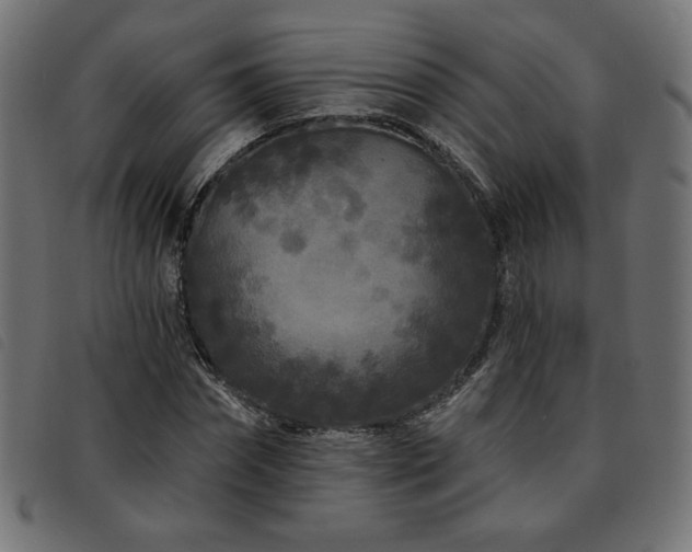 X0000093760874200710161221