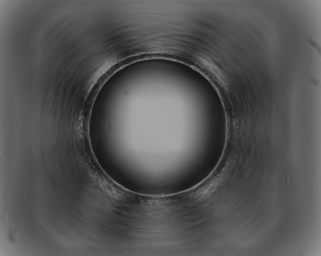 X0000093760875200710161221